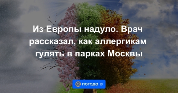 Аллергики, гуляйте в парках Москвы без опасений: советы врача для комфортного времяпрепровождения