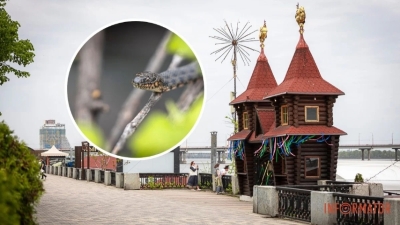 Змеи на Сечеславской Набережной: Как Обезопасить Себя в Ситуации Столкновения